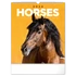 Kép 1/3 - Falinaptár képes  300x340mm Horses Realsystem 2026.