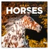 Kép 1/3 - Falinaptár képes lemeznaptár 300x300mm, Horses – Christiane Slawik Realsystem 2026.
