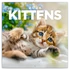 Kép 1/3 - Falinaptár képes lemeznaptár 300x300mm, Kittens Realsystem 2026.